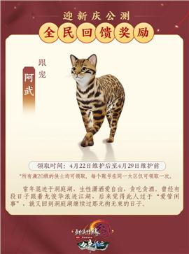天龙八部私服 改回收